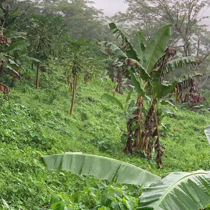 8 acres of prime land for sale, Located LETOGO
