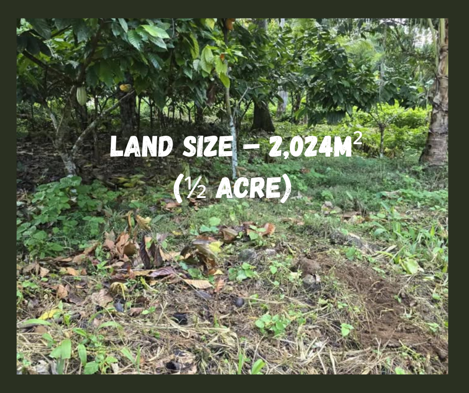 ½ Acre Land For Sale – Aleisa (Just 400m in from Falelauniu Rd!)