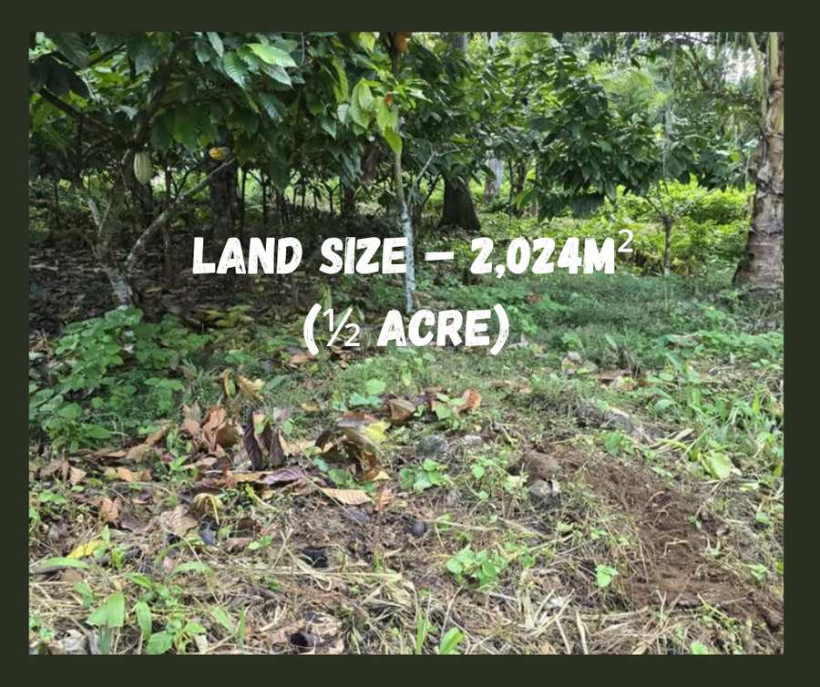 ½ Acre Land For Sale – Aleisa (Just 400m in from Falelauniu Rd!)