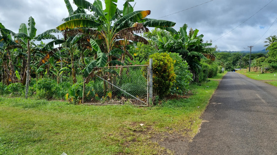 Vacant Land - Vailele 1\4 ACRE   (Upolu Island, Samoa)